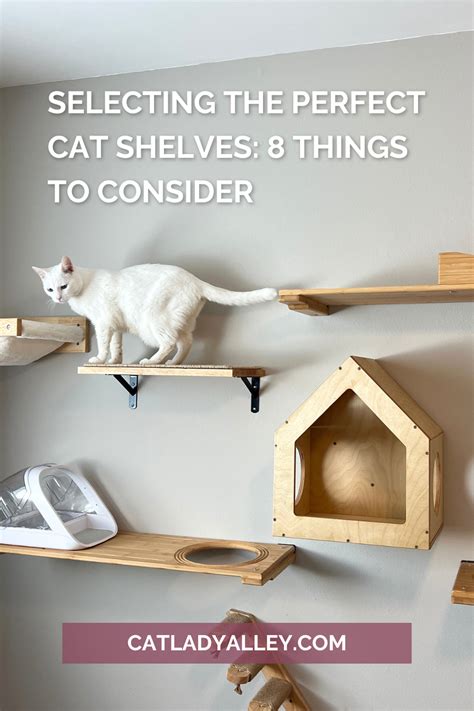 renter friendly cat shelves|Creative Cat Shelves for Renter